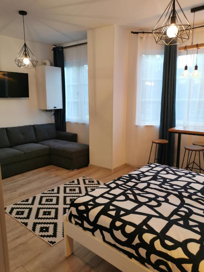 Central Park Studio Petroşani מראה חיצוני תמונה
